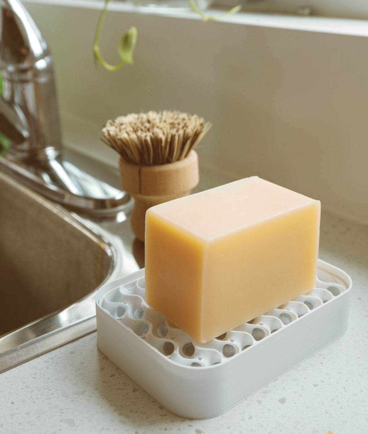 Dish Soap Block + Soap Dish Bundle